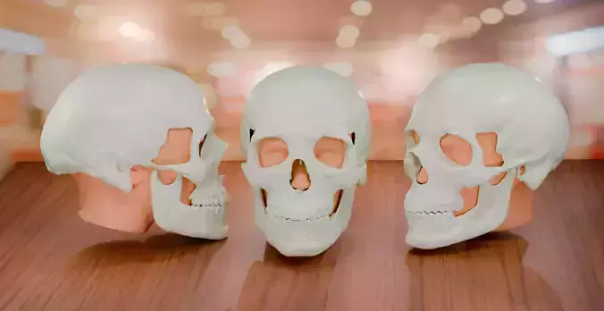 Skull Mask Cosplay  3D print model