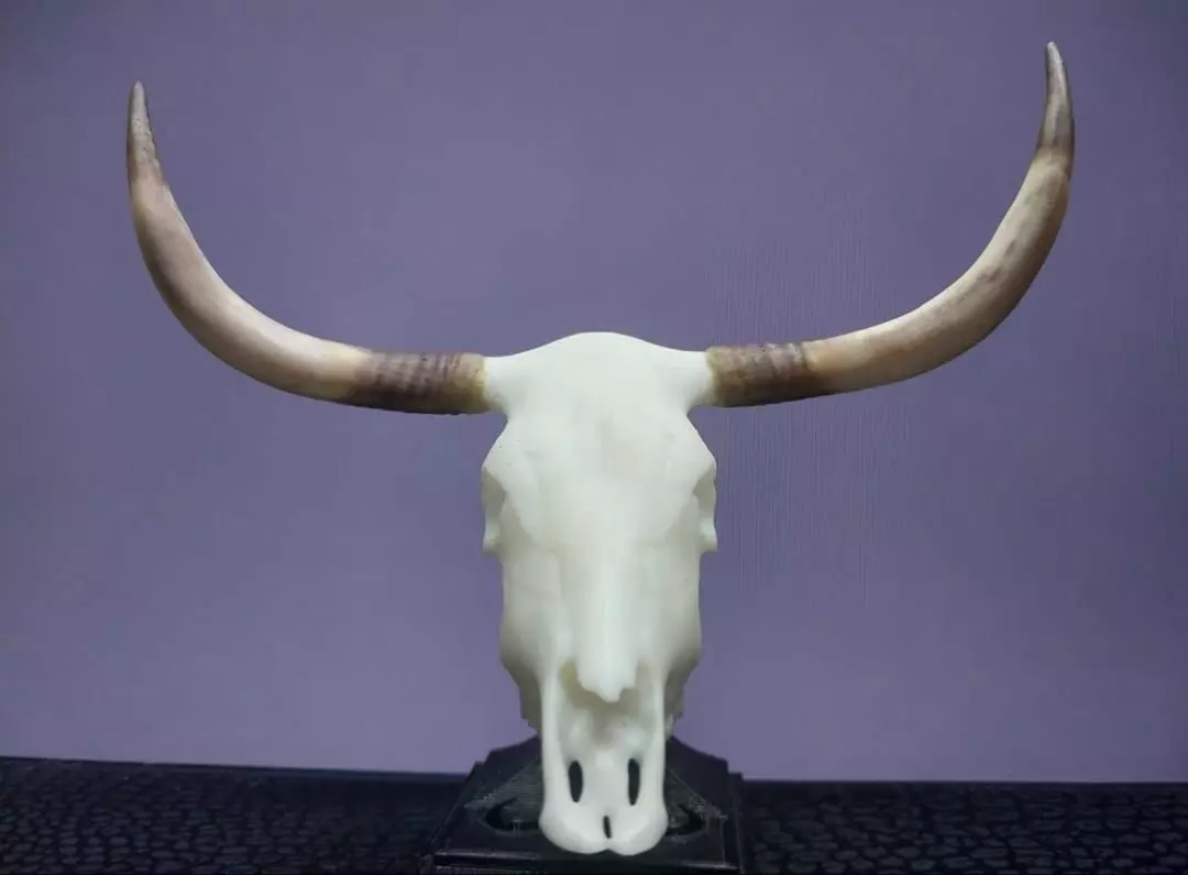Mini beasts Nguni cattle skull 3D print model_0