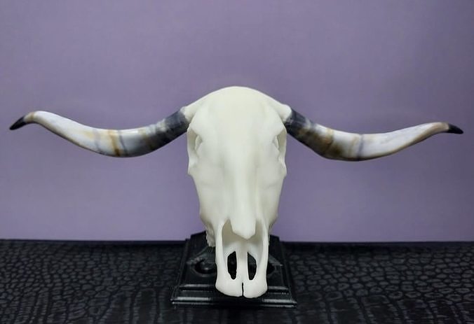 Mini beasts Afrikaner Cattle skull 3D print model