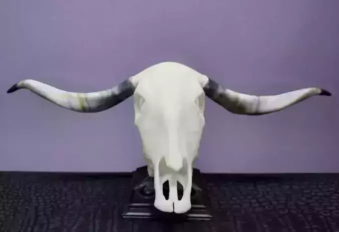 Mini beasts Afrikaner Cattle skull 3D print model