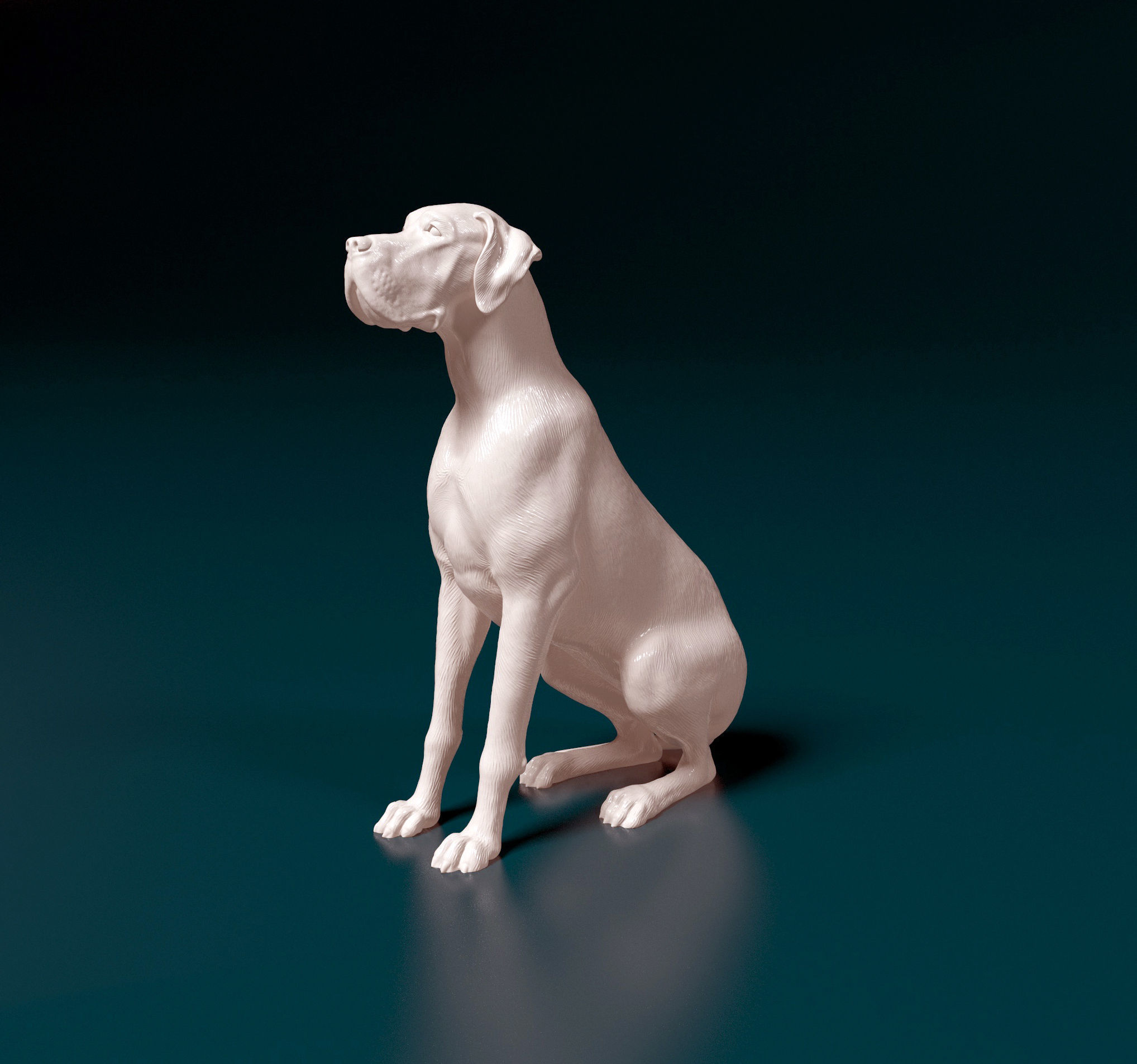 Great Dane 3D print model_5