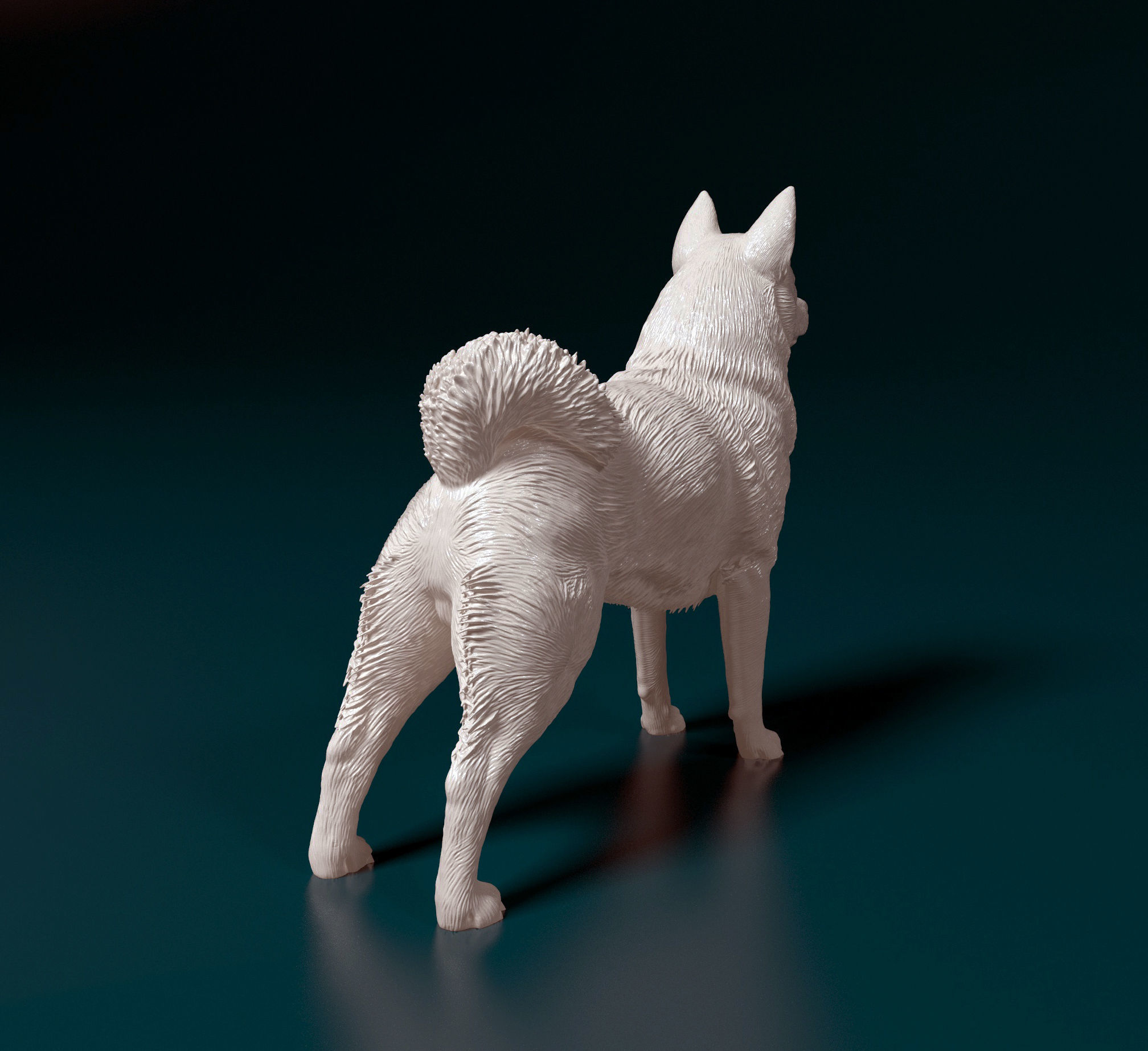 Norwegian Elhound 3D print model_3