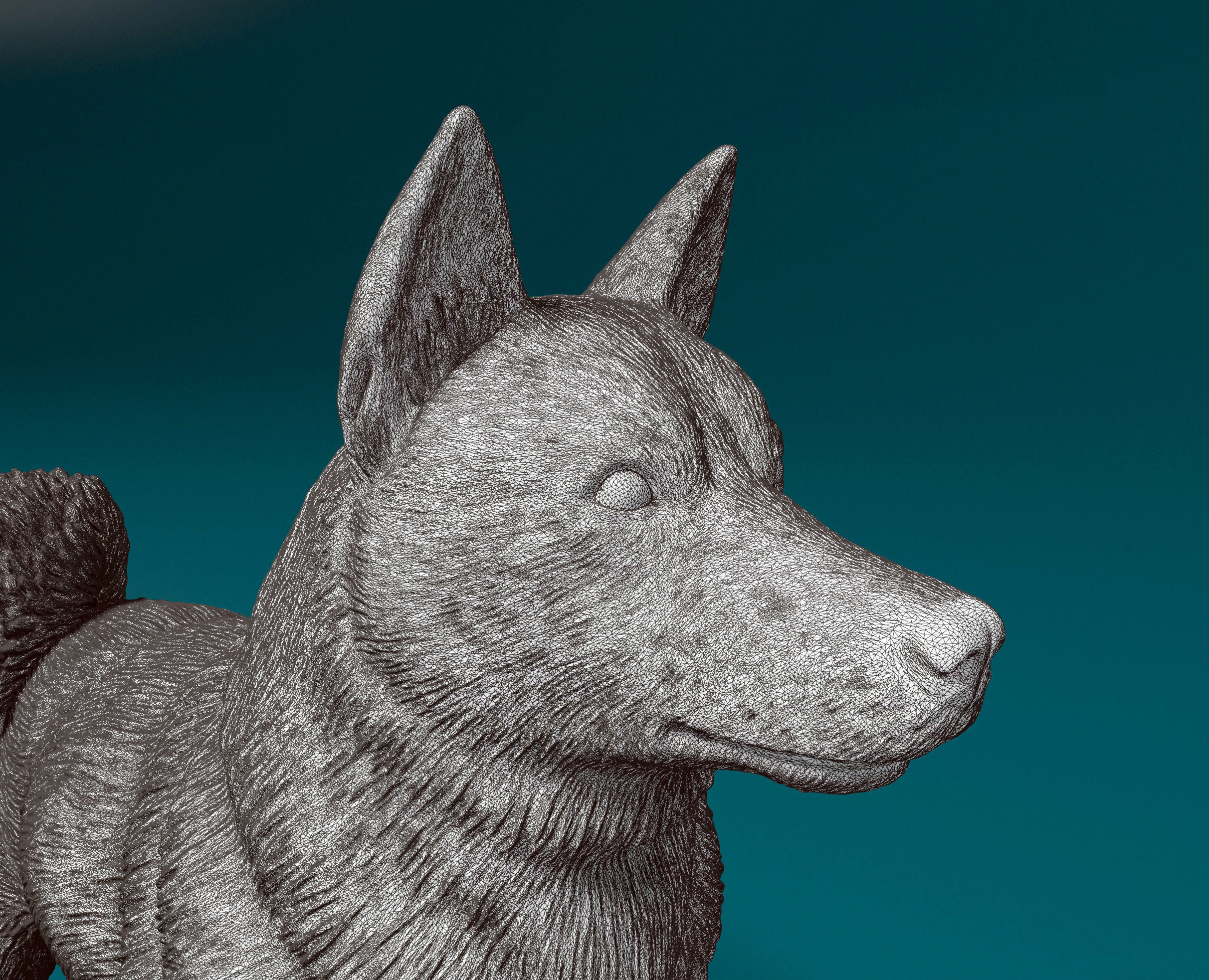 Norwegian Elhound 3D print model_6