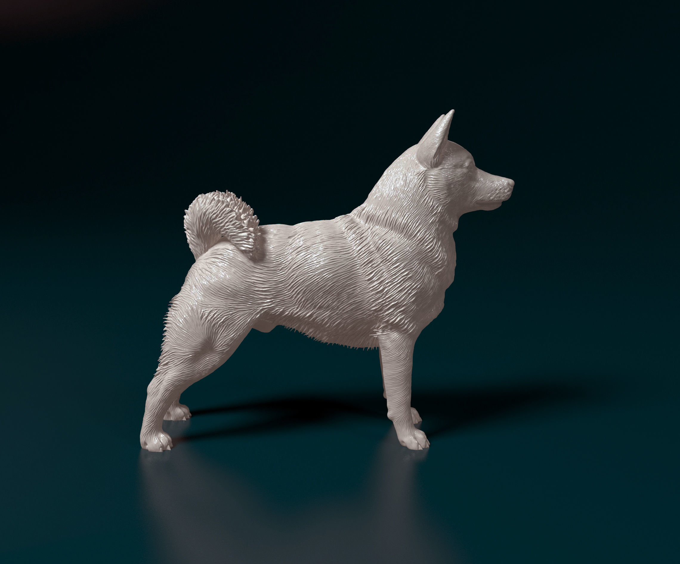 Norwegian Elhound 3D print model_2