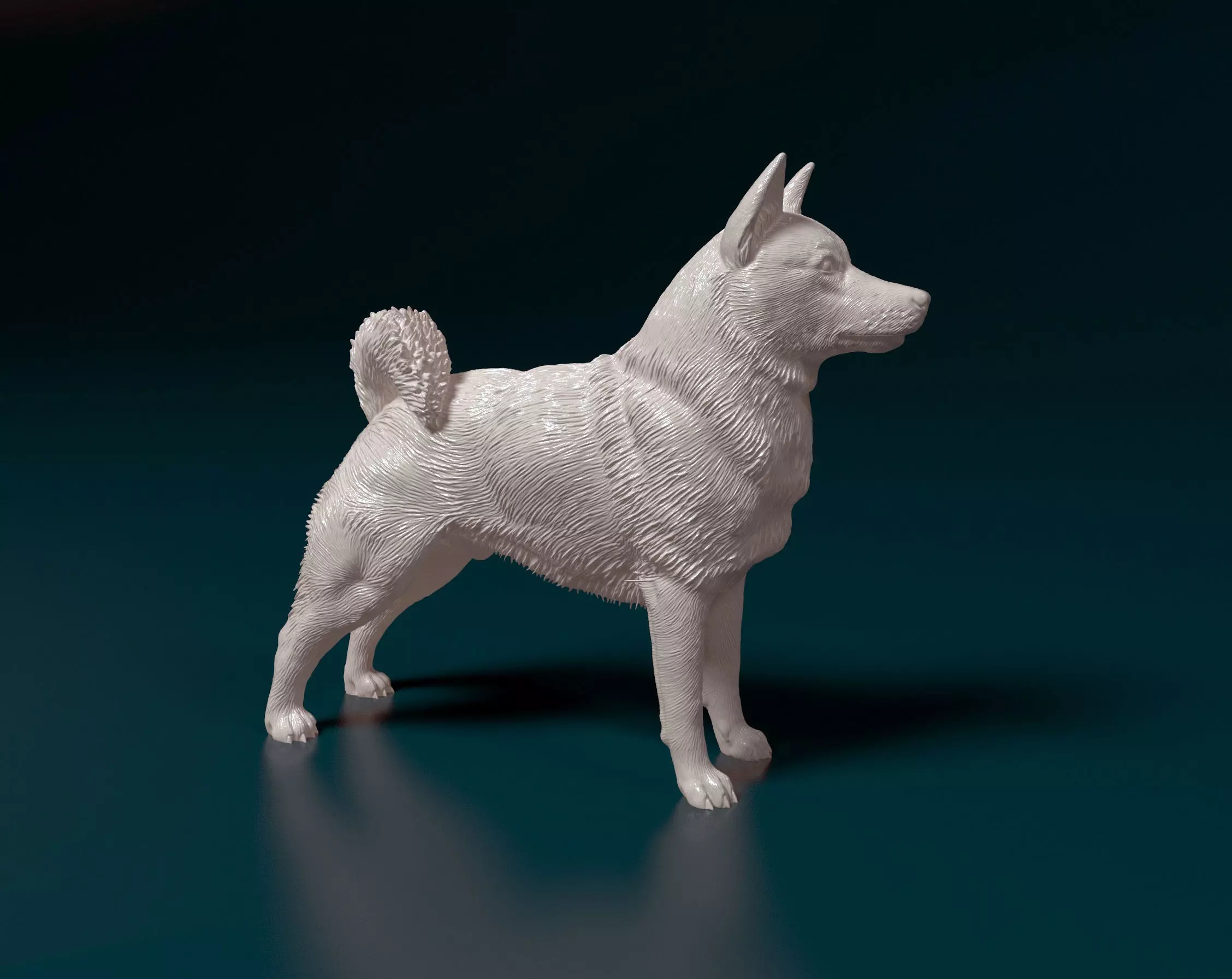 Norwegian Elhound 3D print model_0
