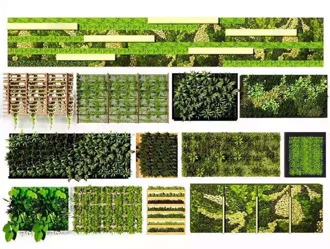 Plant wall collection 3D model