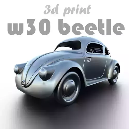 volkswagen w30 beetle