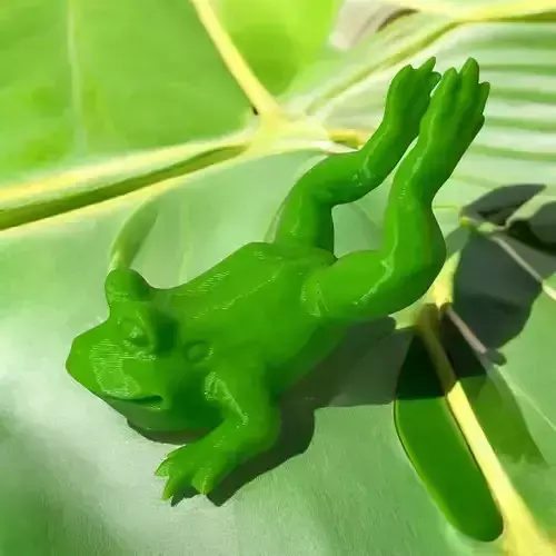 Frog on belly 3D print model