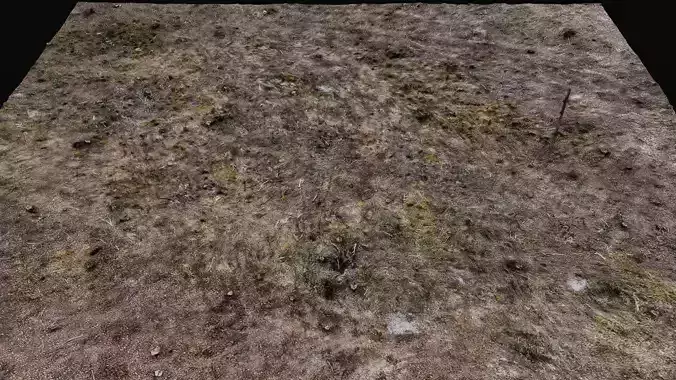 forest ground grass area wood debris photogrammetry Low-poly 3D model
