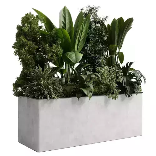 Office plant - concrete box plants on stand  indoor plant 554 3D model