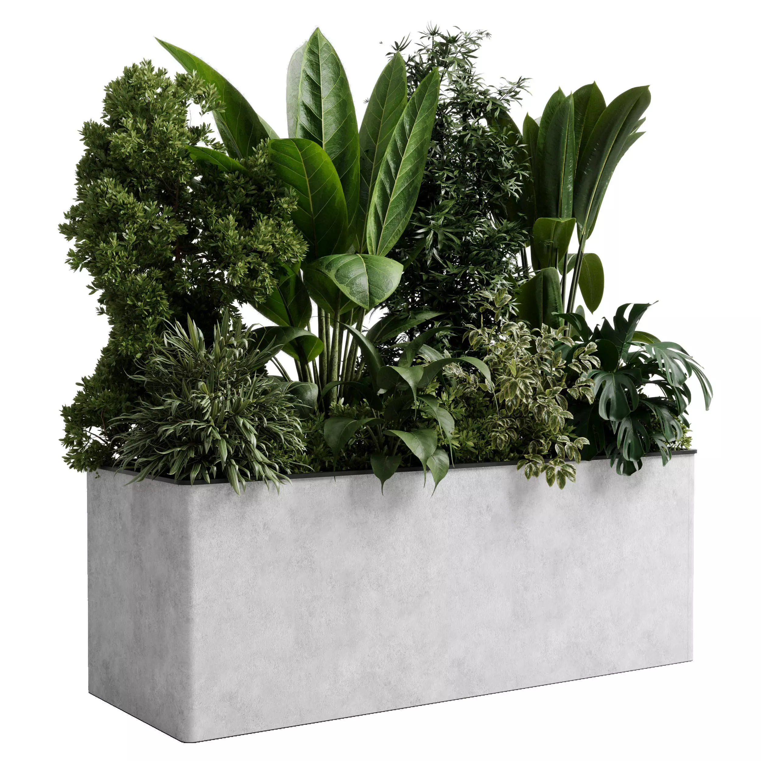 Office plant - concrete box plants on stand indoor plant 554 3D model