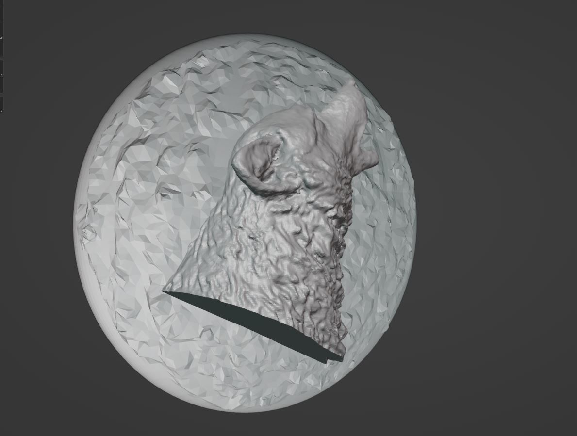 Howling Wolf Medallion 3D print model 3D print model_3
