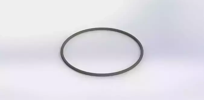 O Ring Vedabras 12893