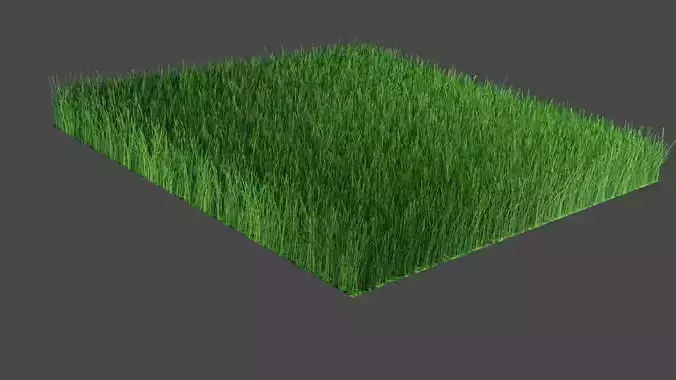Grass 3d Model