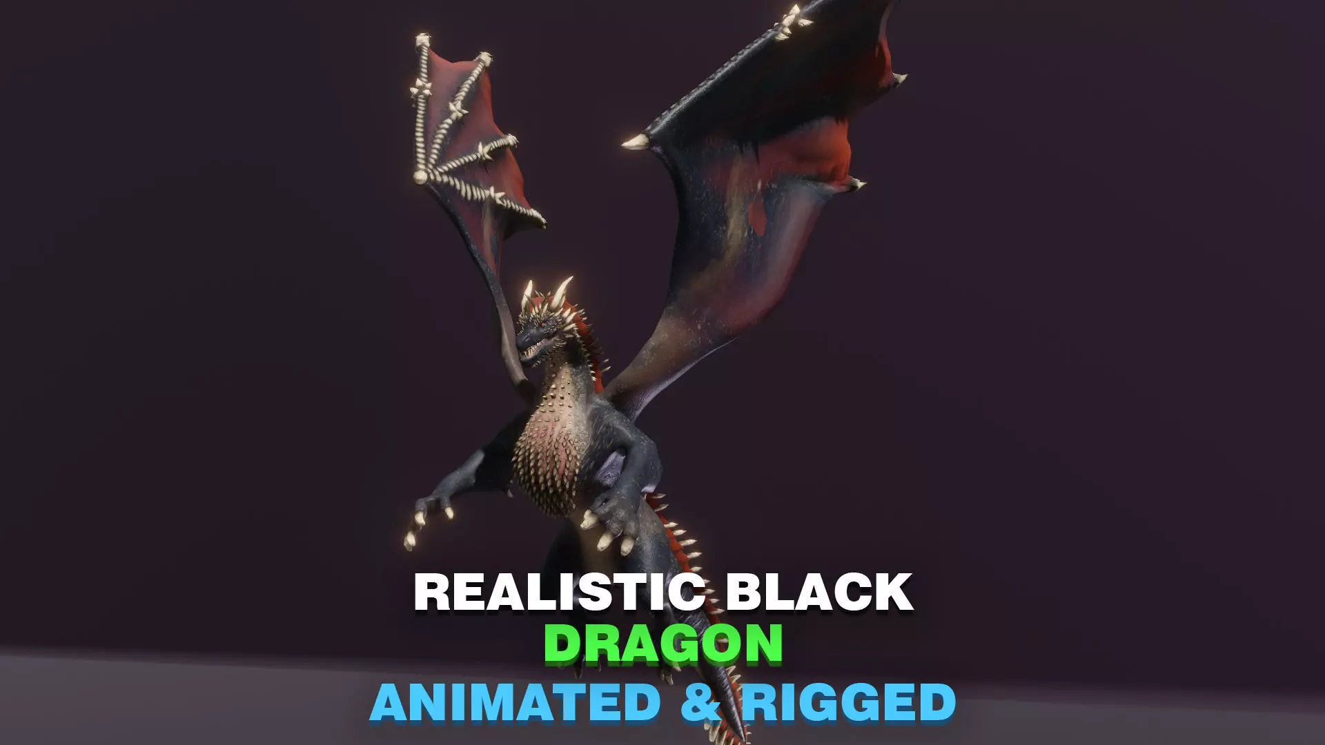 Realistic Black Dragon Animated 3D Model Low-poly 3D model_0