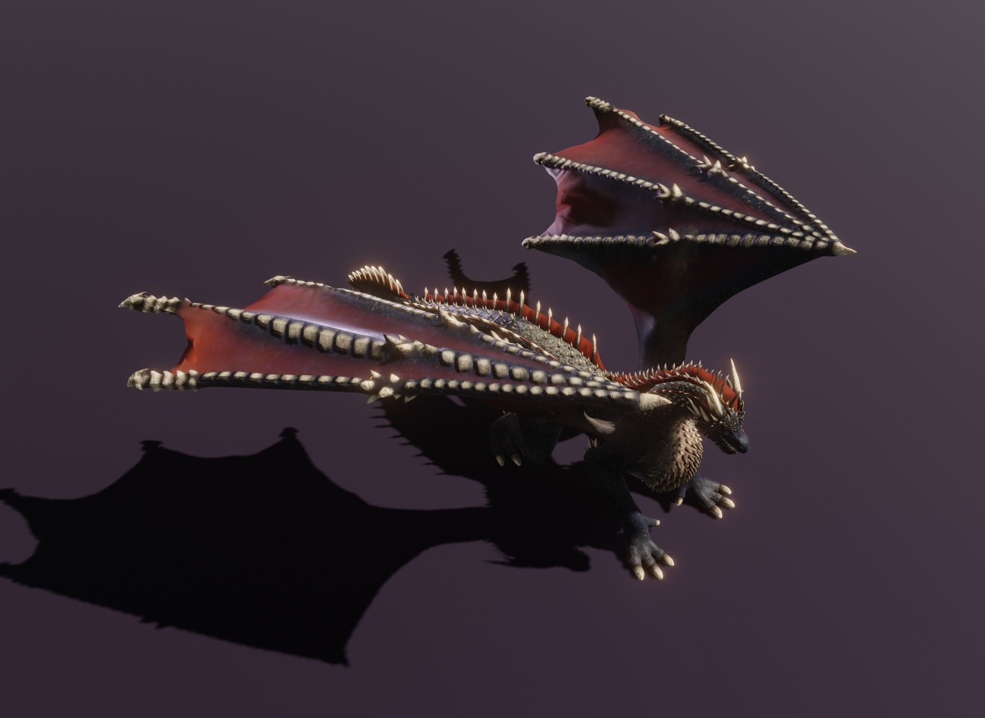 Realistic Black Dragon Animated 3D Model Low-poly 3D model_21