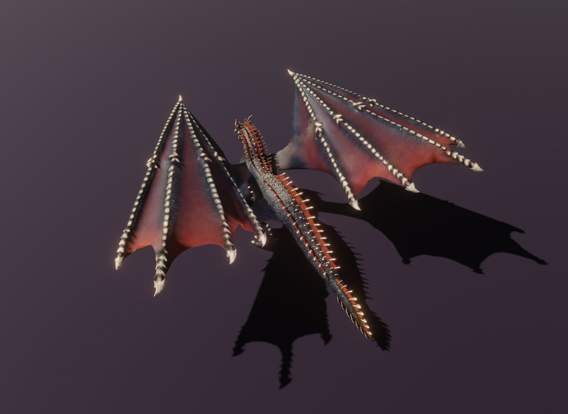 Realistic Black Dragon Animated 3D Model Low-poly 3D model_9