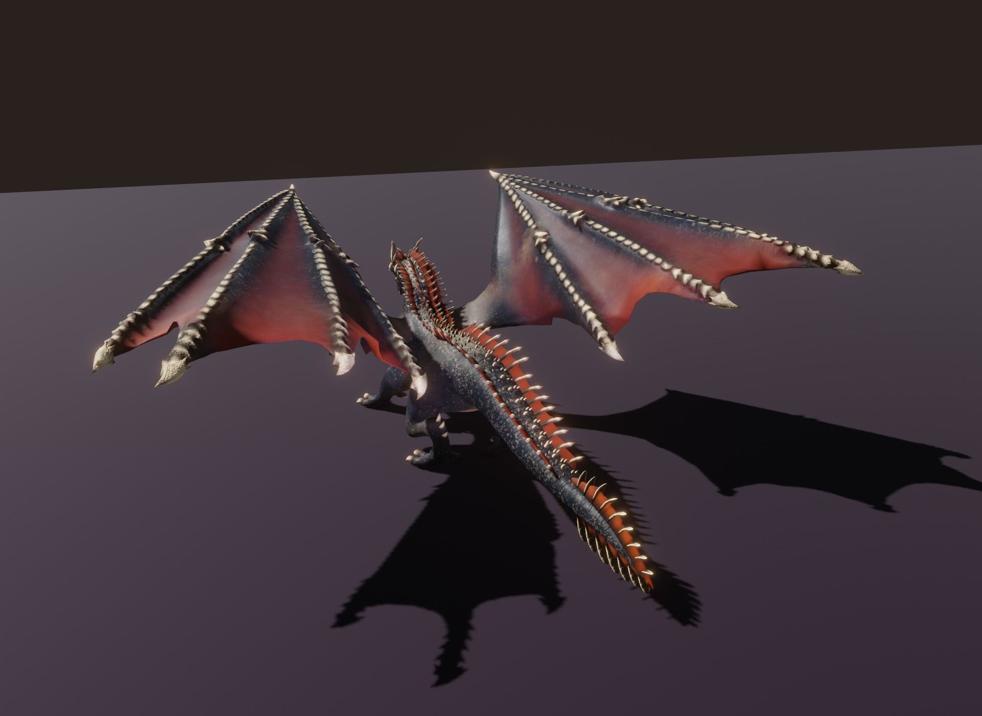 Realistic Black Dragon Animated 3D Model Low-poly 3D model_14