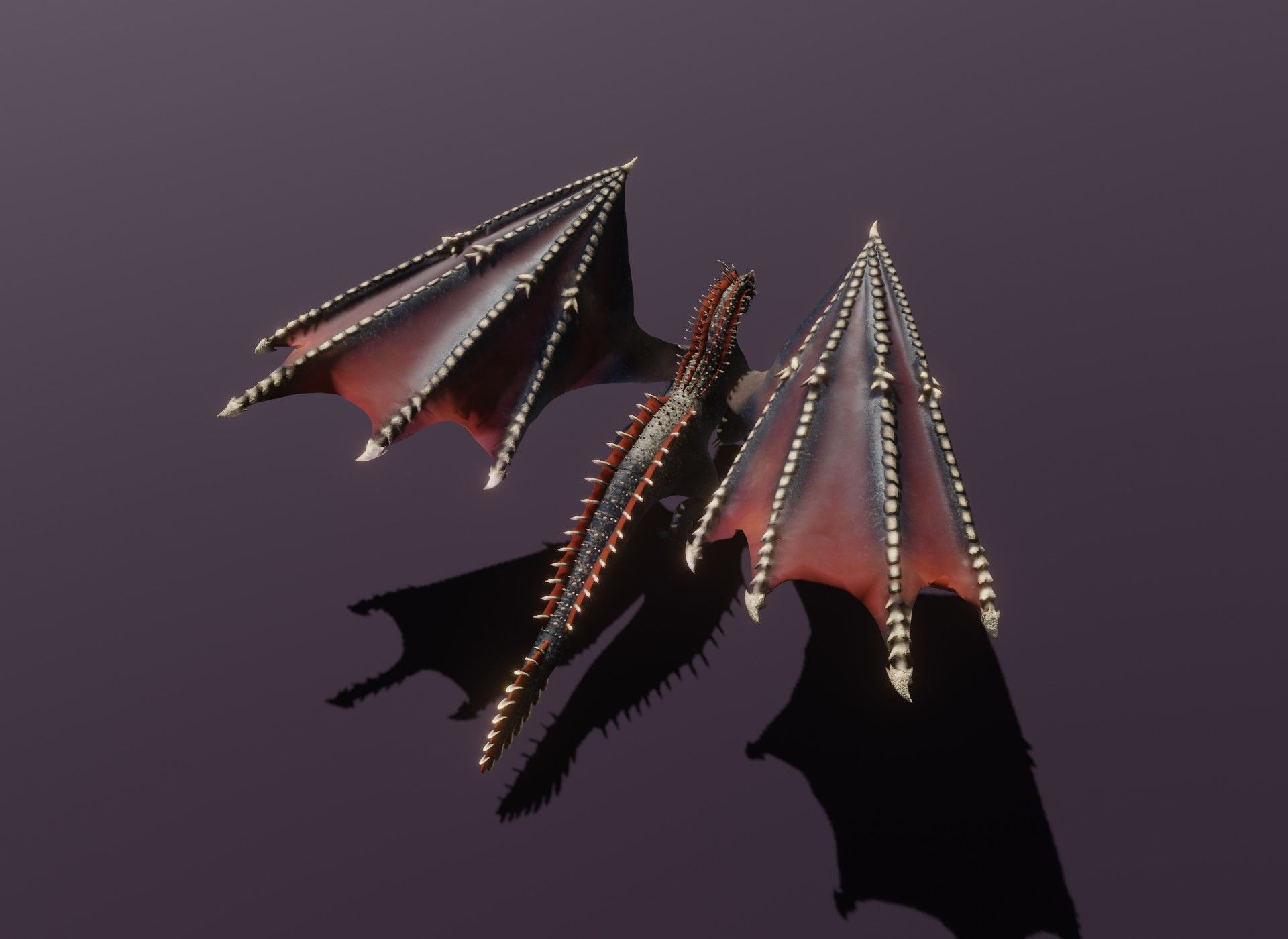 Realistic Black Dragon Animated 3D Model Low-poly 3D model_13