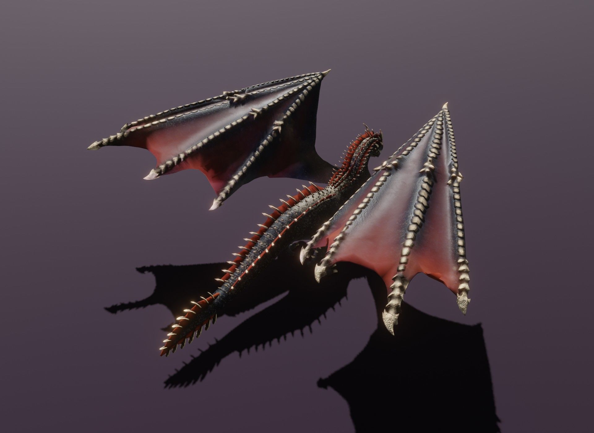 Realistic Black Dragon Animated 3D Model Low-poly 3D model_16