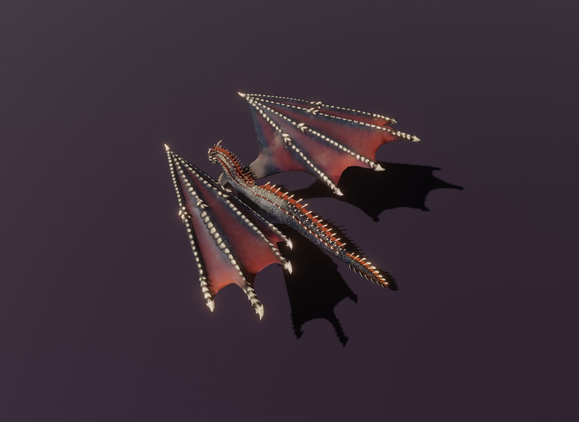 Realistic Black Dragon Animated 3D Model Low-poly 3D model_19