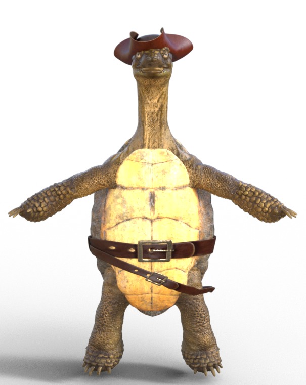 Captain Turtle 3D model_3