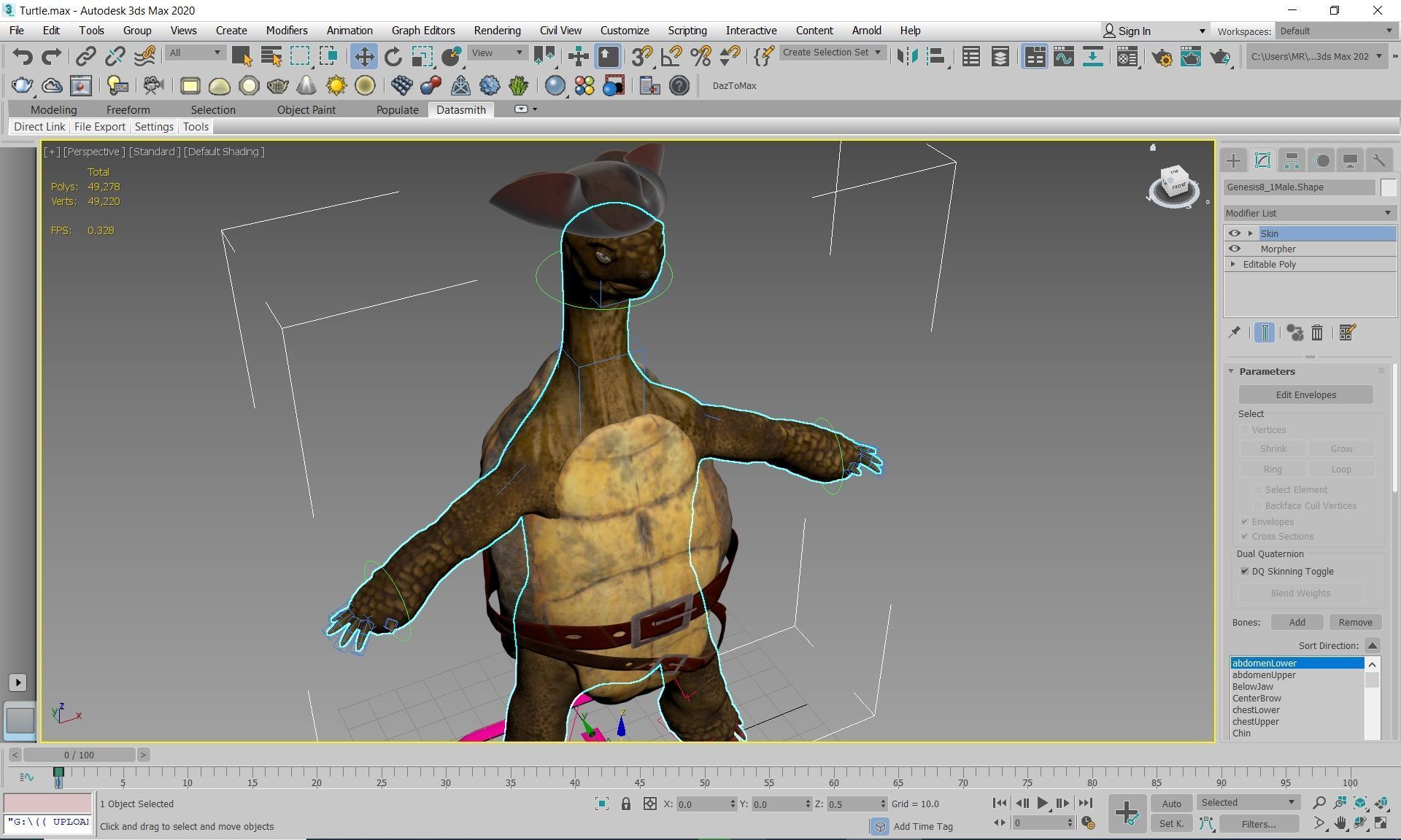 Captain Turtle 3D model_1