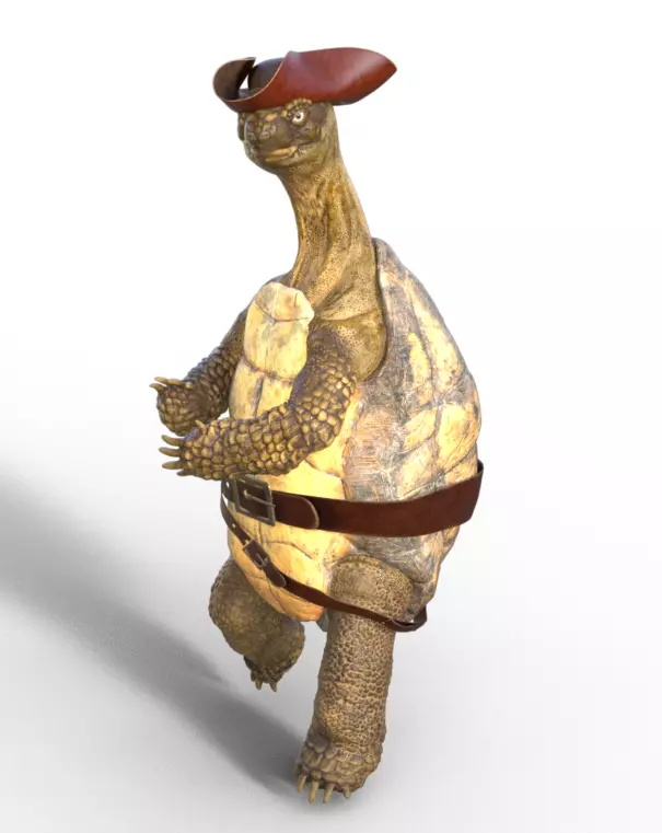 Captain Turtle 3D model_0