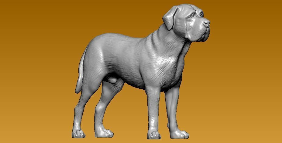 Bull mastiff dog - statue - 3D print 3D print model_2