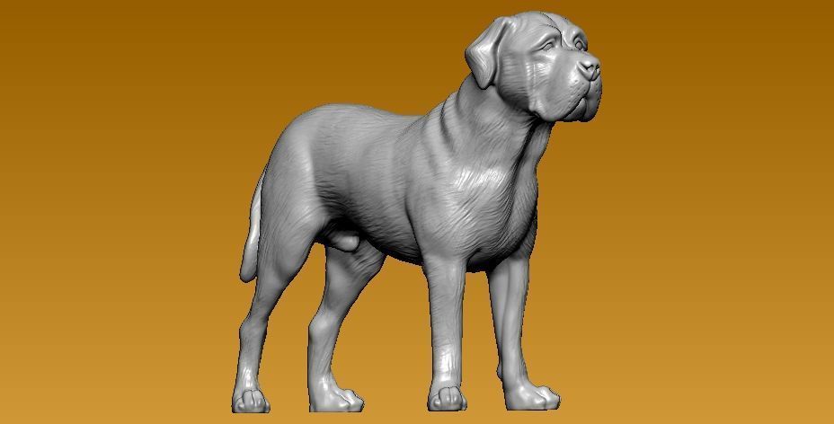 Bull mastiff dog - statue - 3D print 3D print model_1