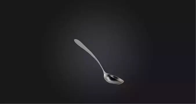Spoon model