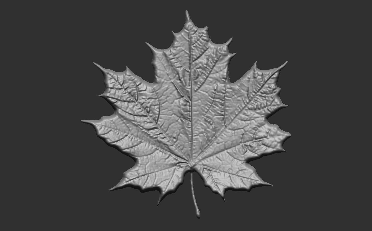 pumpkin leaf cnc  3D print model_10
