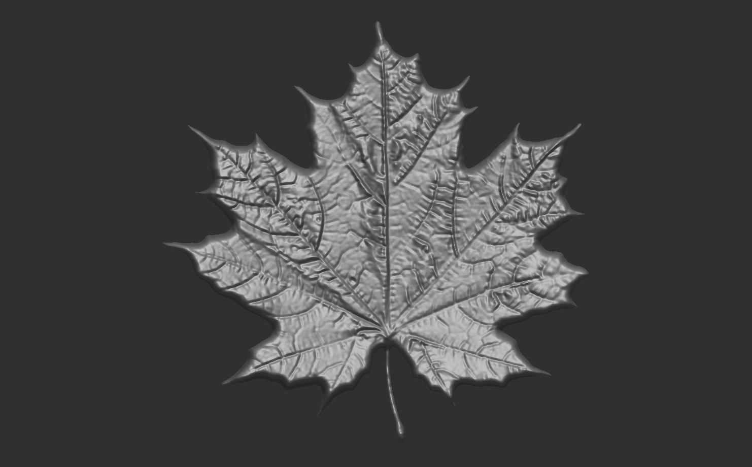 pumpkin leaf cnc  3D print model_7