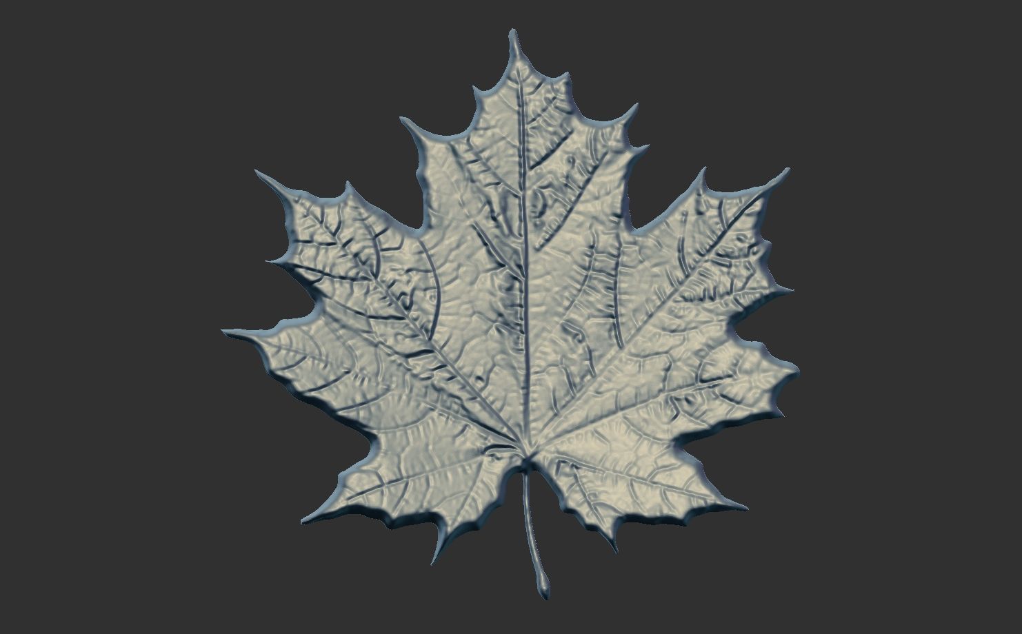 pumpkin leaf cnc  3D print model_11