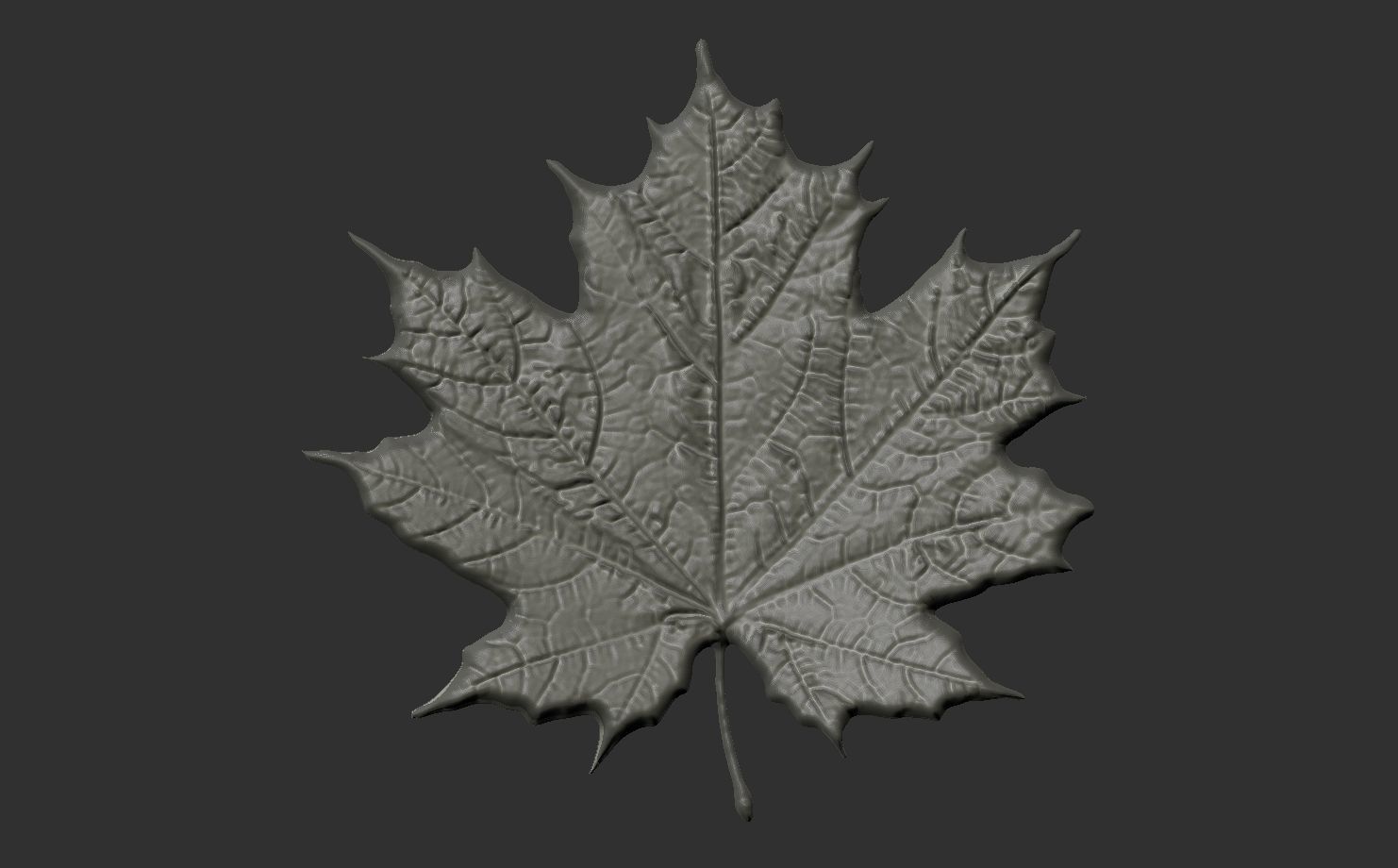 pumpkin leaf cnc  3D print model_9