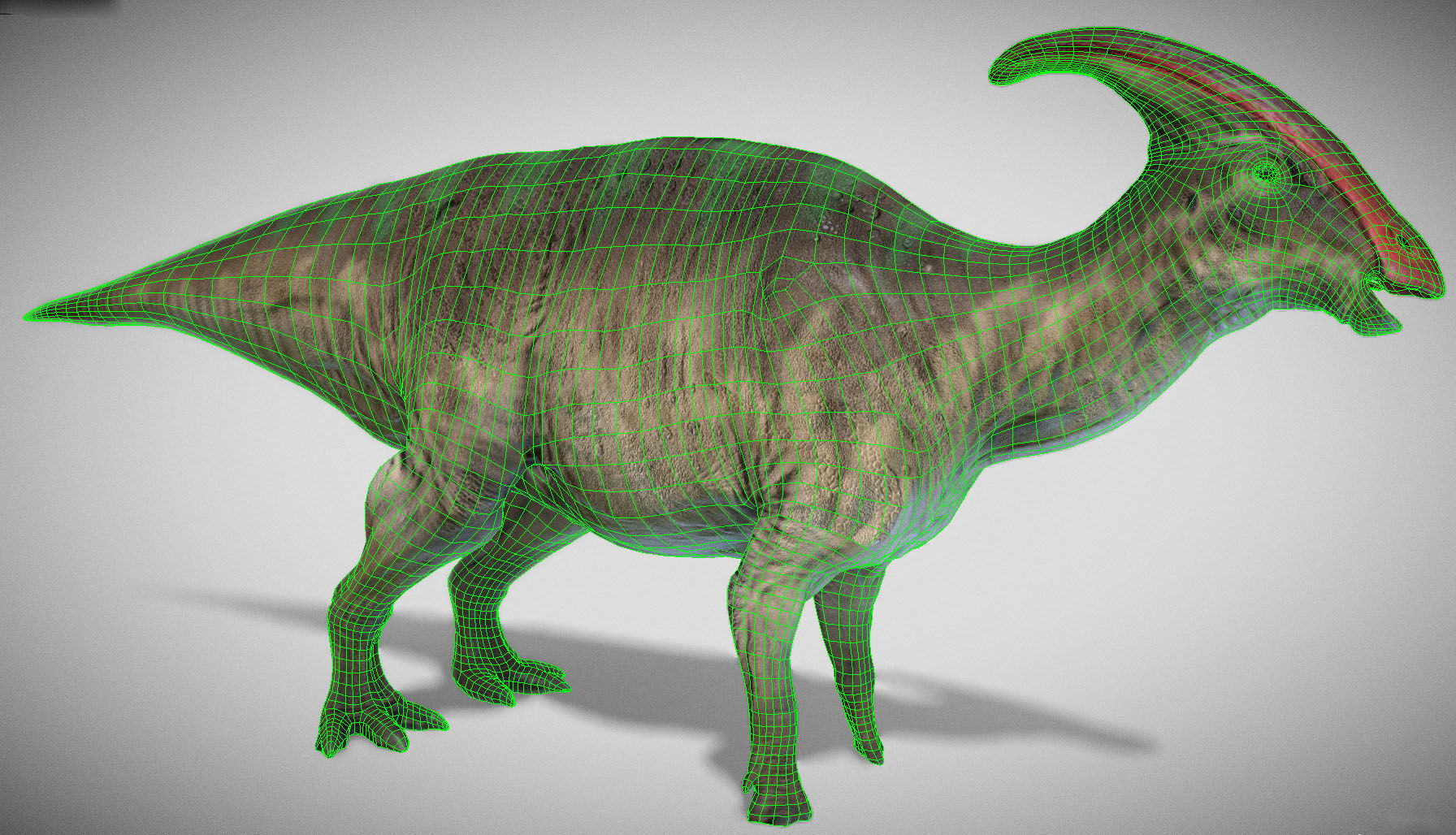 Parasaurolophus Low-poly 3D model_3
