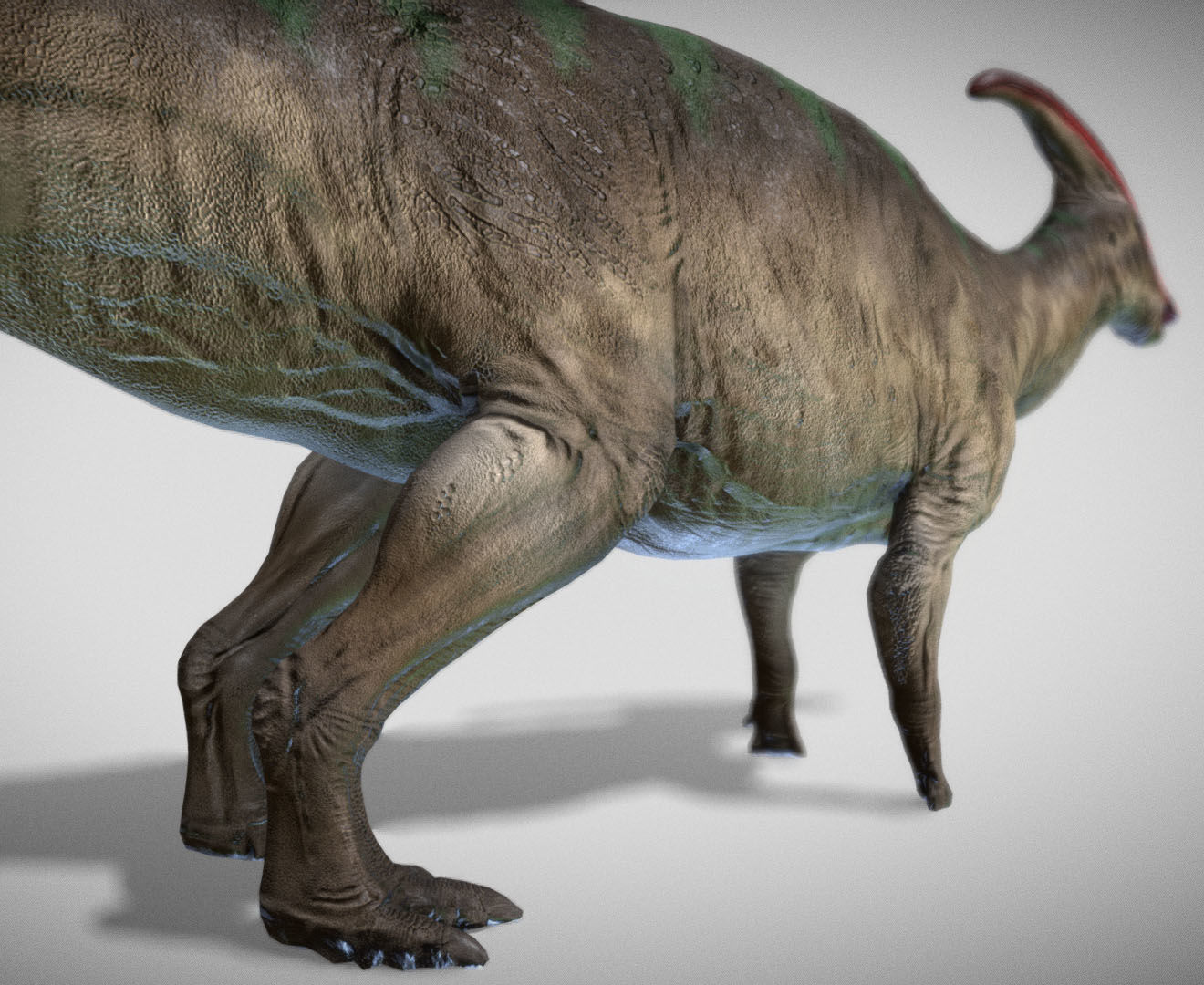 Parasaurolophus Low-poly 3D model_4