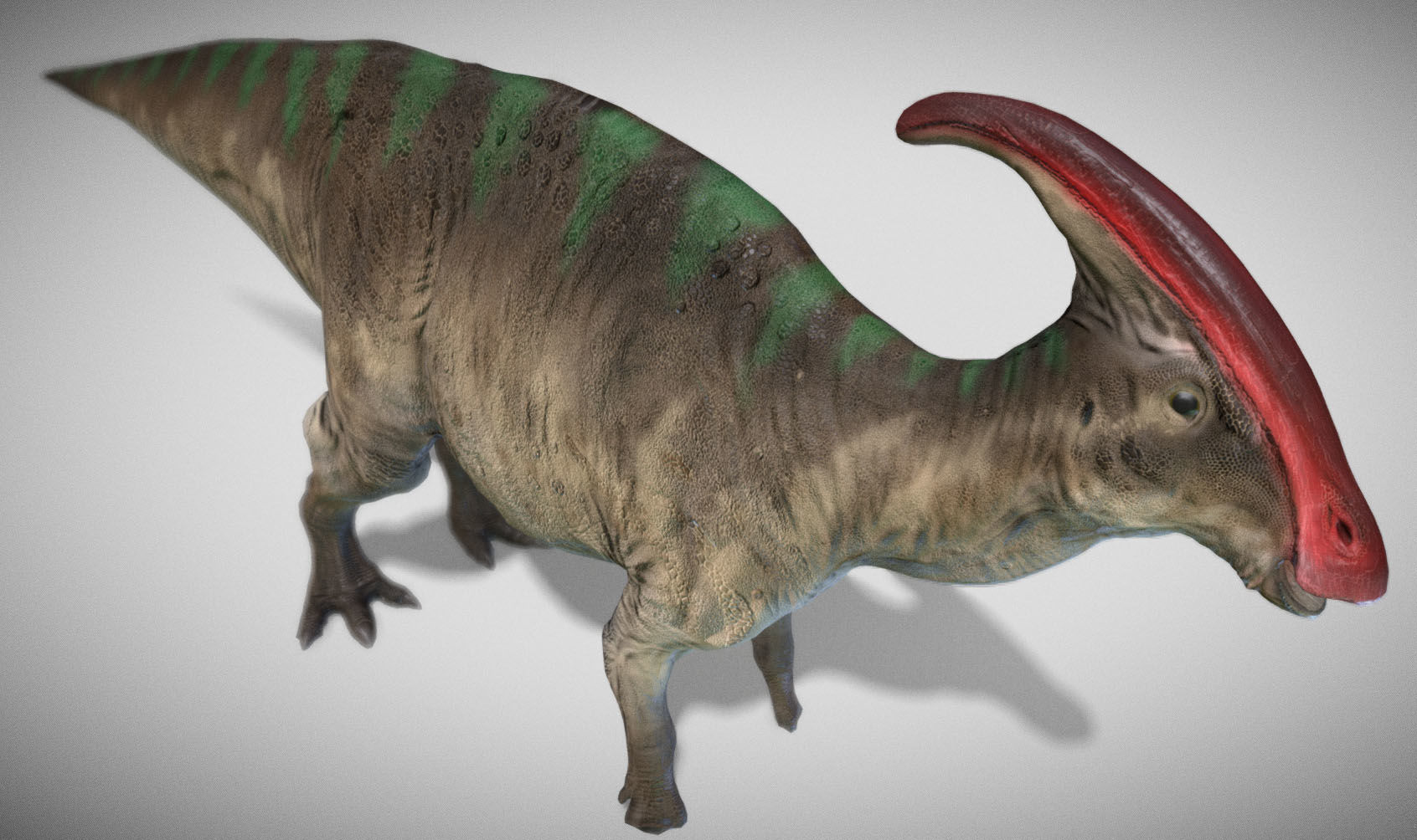 Parasaurolophus Low-poly 3D model_8