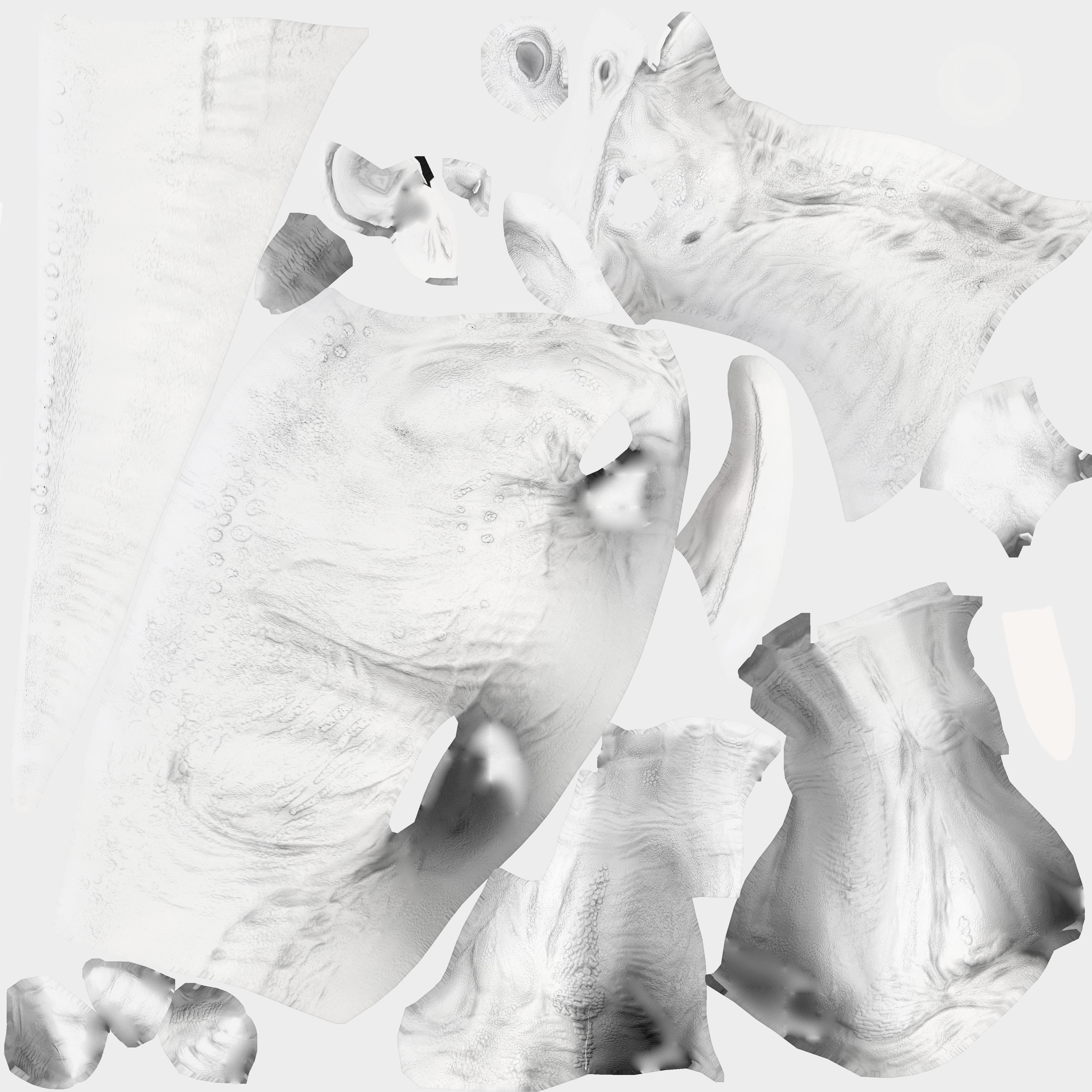 Parasaurolophus Low-poly 3D model_6