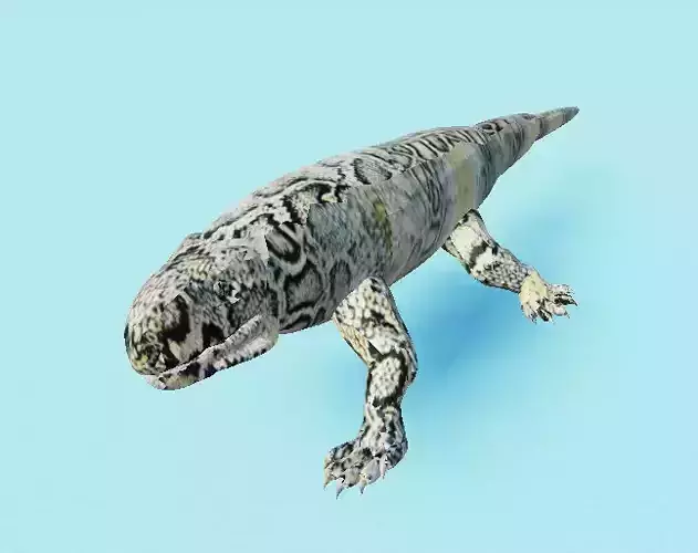 lizard model