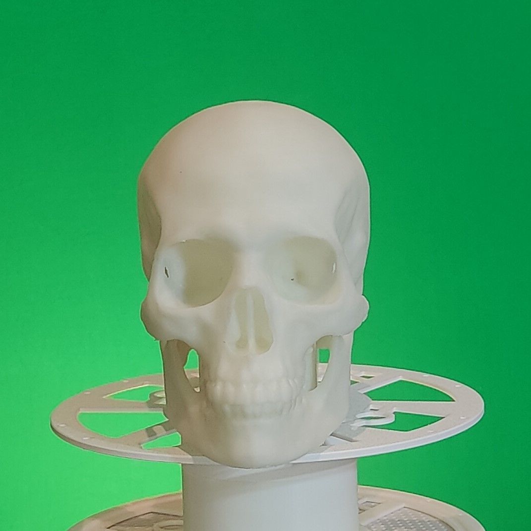 Skully the Trailer Hitch Cover 3D print model_3