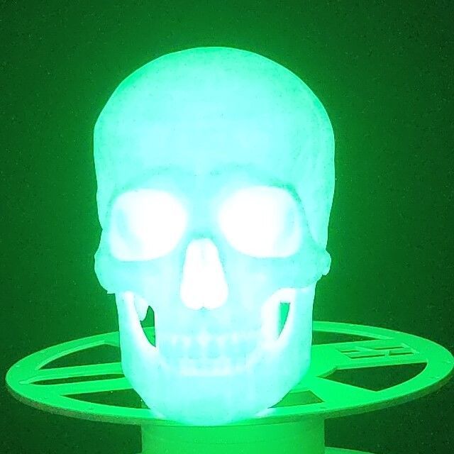 Skully the Trailer Hitch Cover 3D print model_5