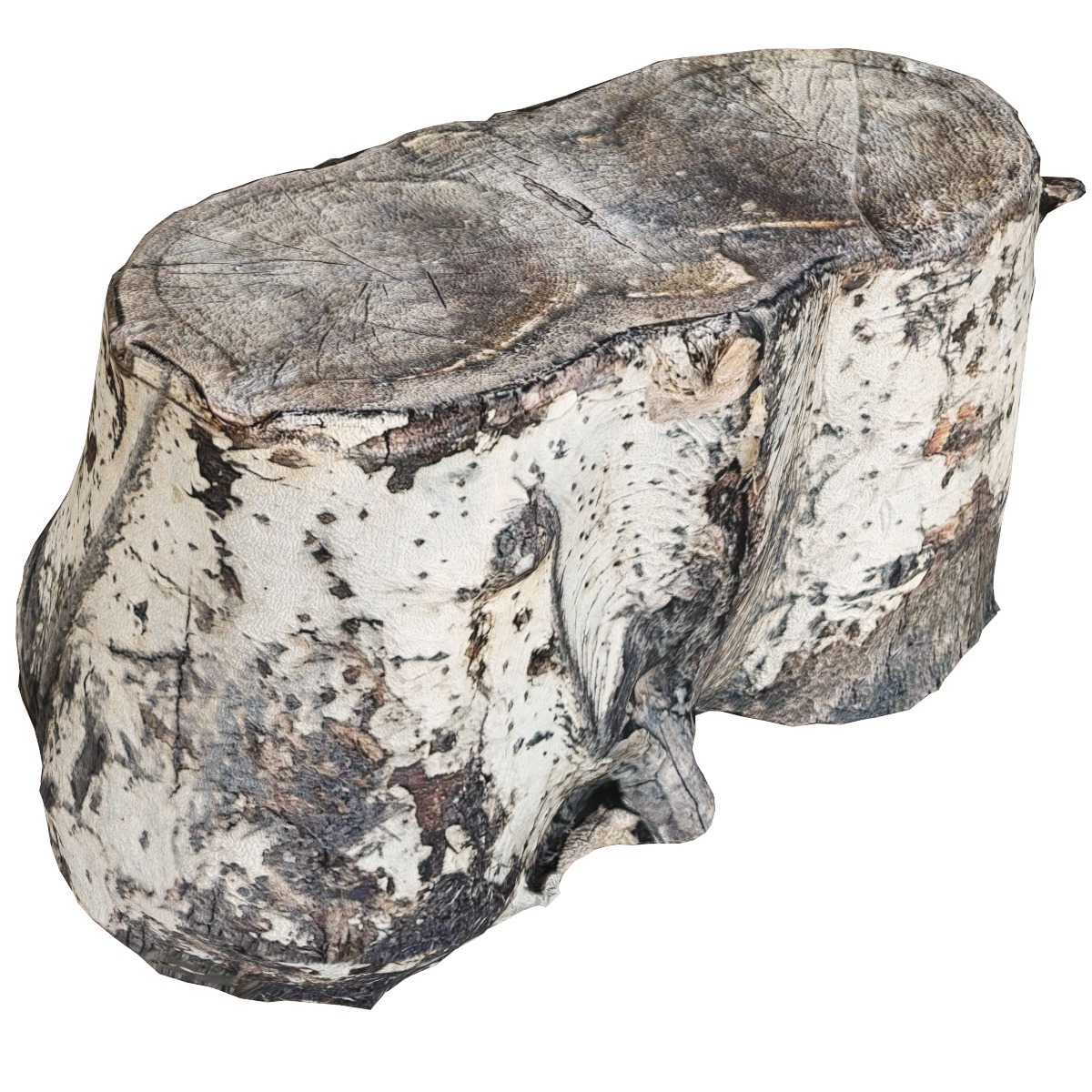 Set of stump models 3D model_3