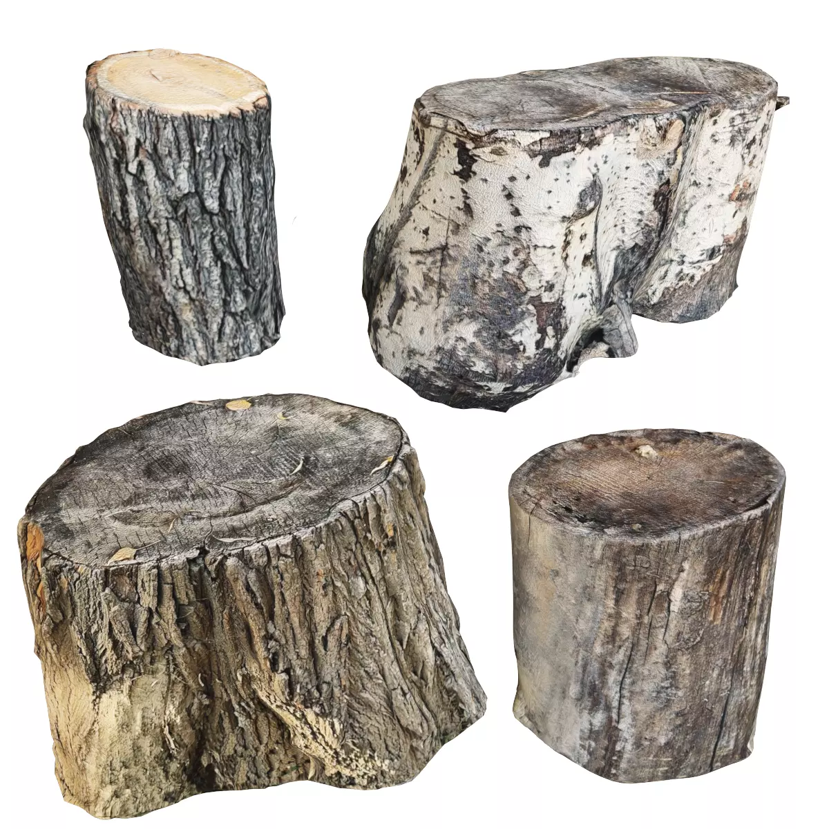 Set of stump models 3D model_0