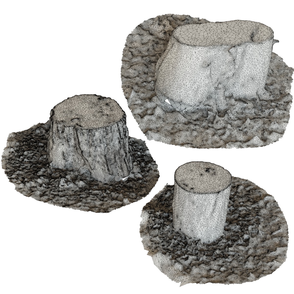 Set of stump models 3D model_7