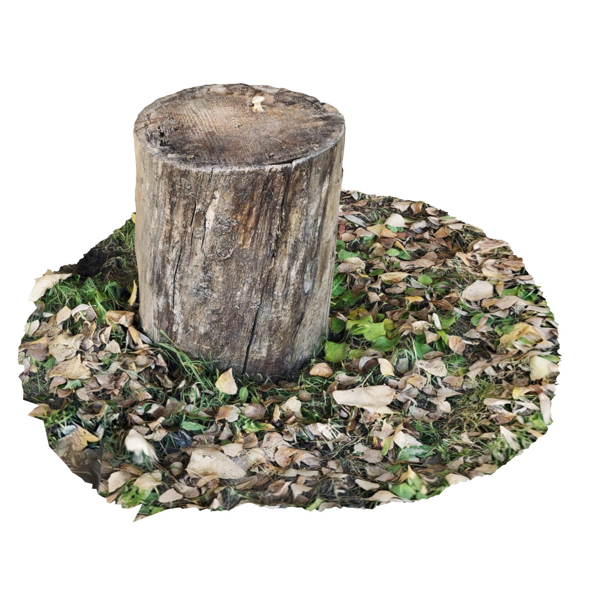 Set of stump models 3D model_4