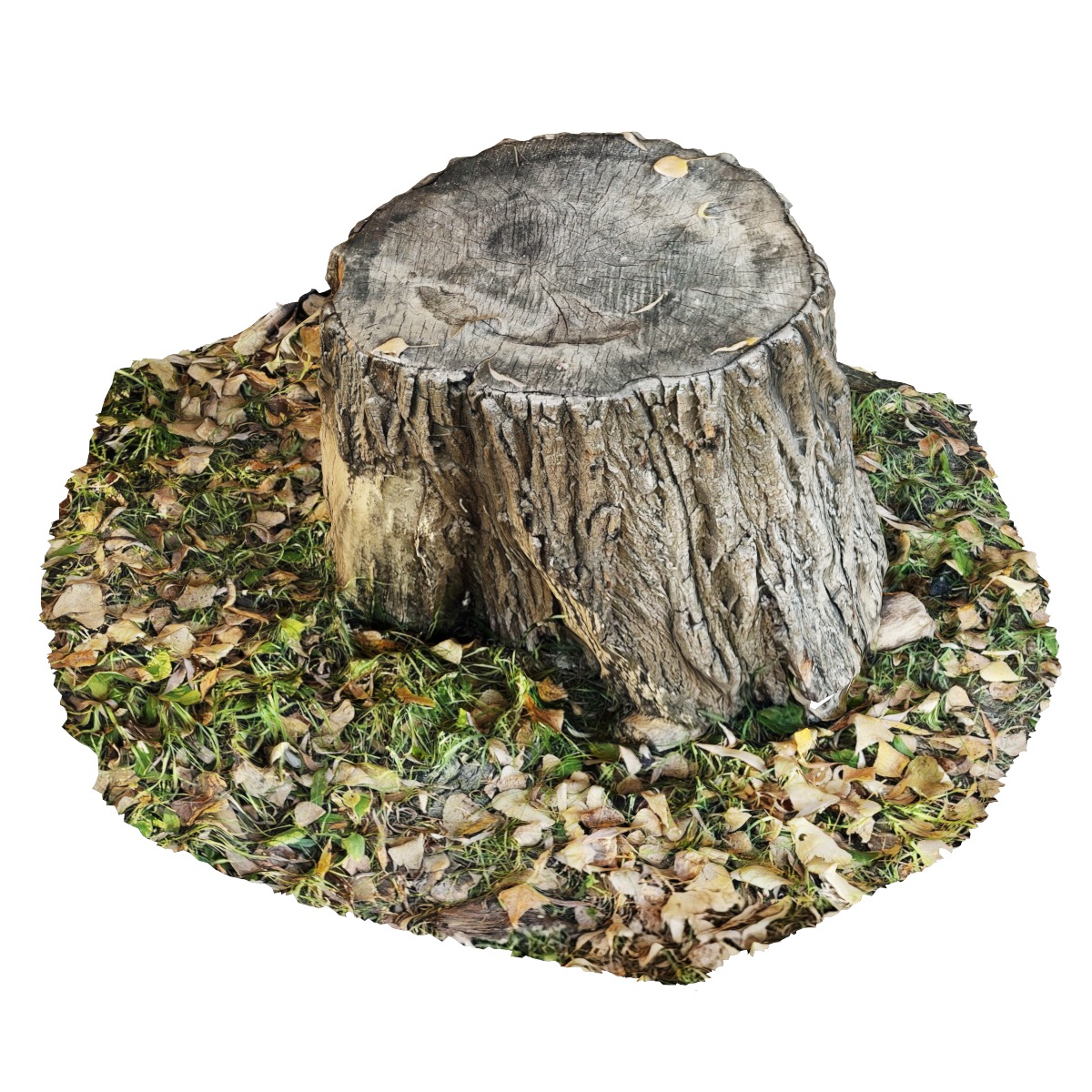 Set of stump models 3D model_5