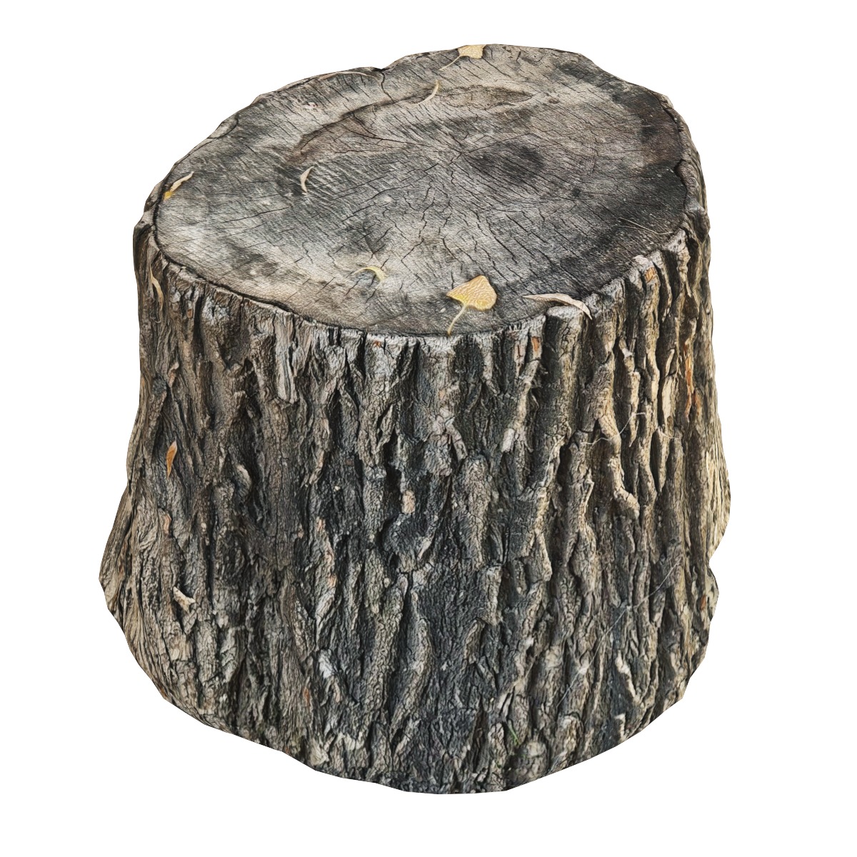 Set of stump models 3D model_2