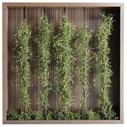 Vertical Wall Garden - Ivy partition in a wooden frame 97