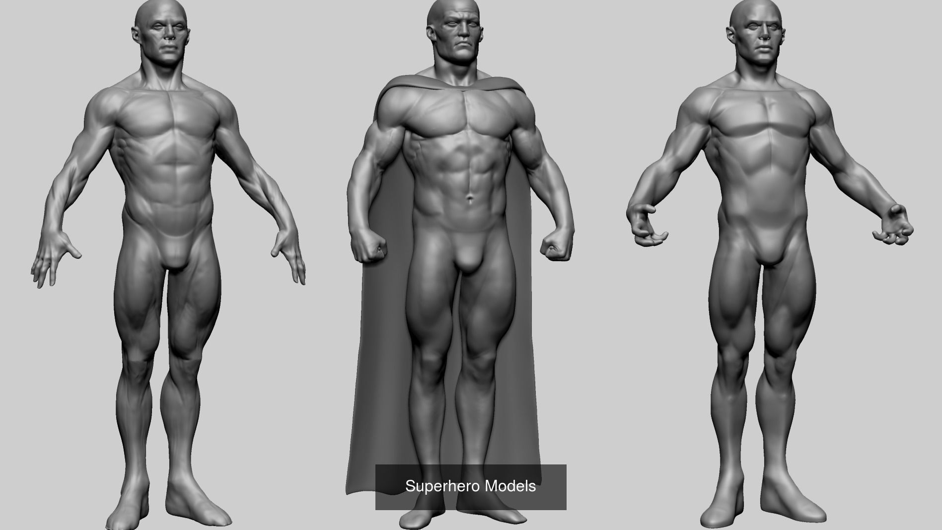 Superhero and Male Anatomy Models 3D Model Collection_3